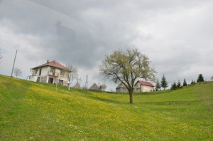 Put-preko-zabljaka (23)     
